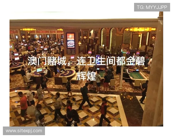 澳门葡京官方旗舰店用户评价,真实体验分享与反馈