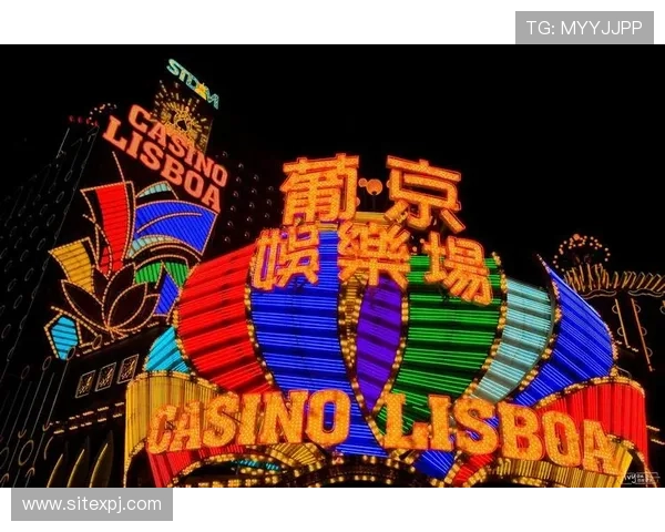 稳定安全的葡京娱乐官网入口链接，确保每一次游戏都顺畅无阻